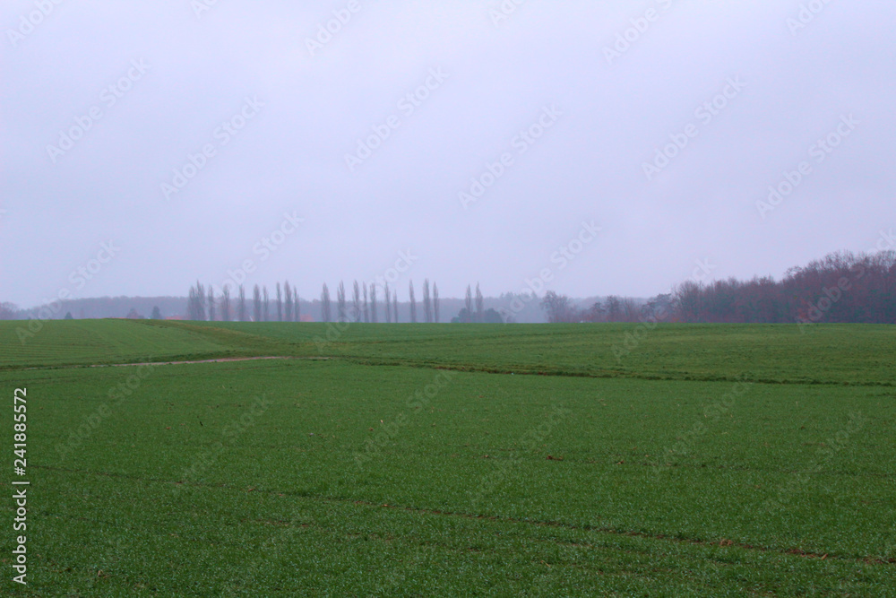 Obraz premium Felder