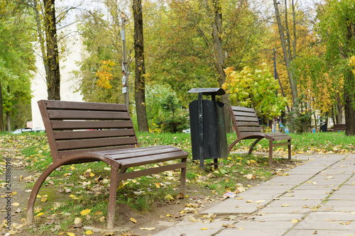 bench in an autumn park