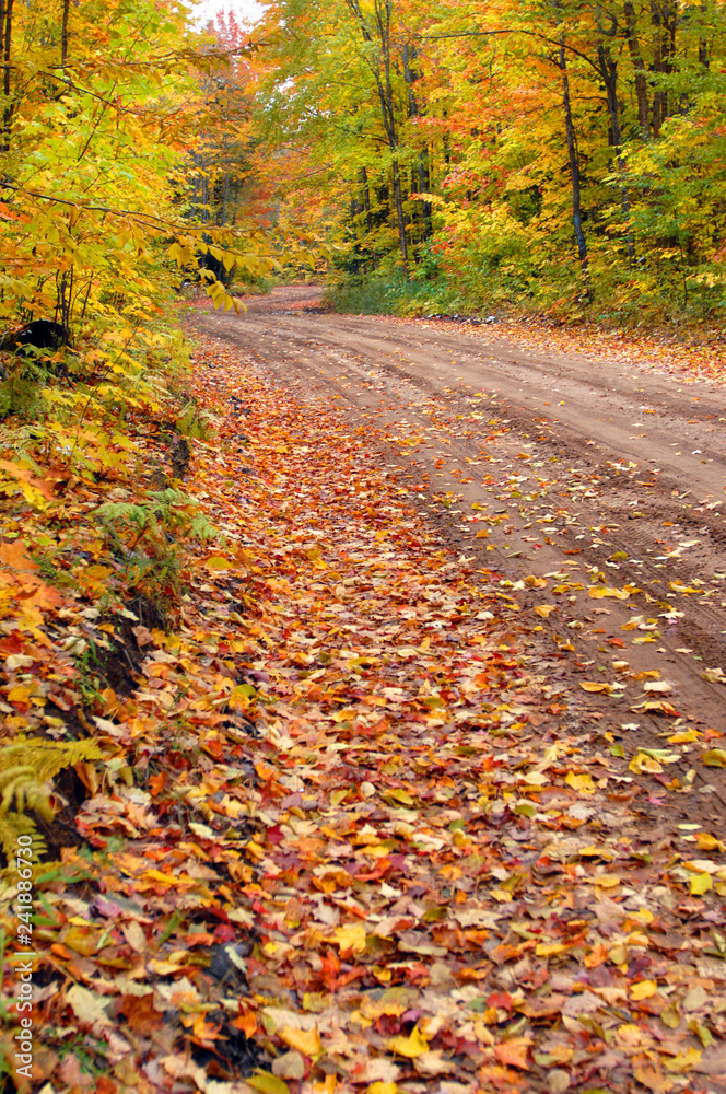 Fall Surrounds Dirt Lane in Michigan Fall Surrounds Dirt Lane in Michigan