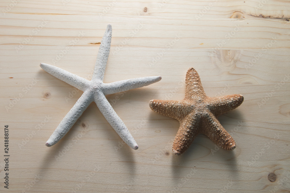 Dos estrellas de mar/ Dos estrellas de mar, aisladas sobre fondo de madera. Dos estrellas de mar/ Dos estrellas de mar, aisladas sobre fondo de madera.