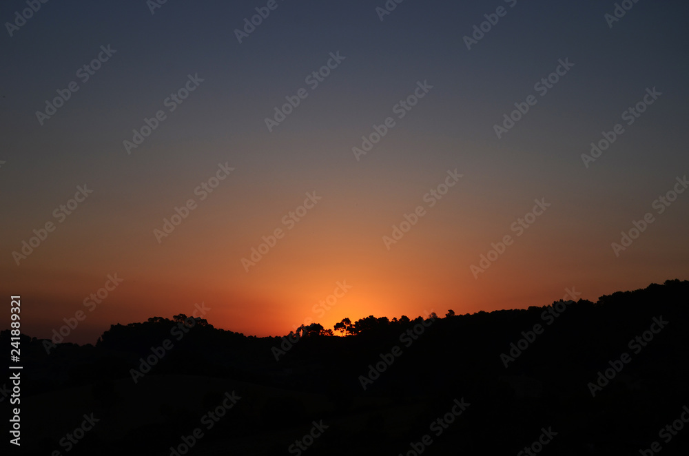 Fototapeta premium Morning