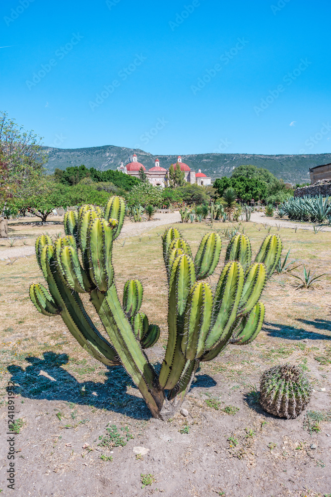 The ancient and incredible Archaeological Site of Mitla in Oaxaca Mexico The ancient and incredible Archaeological Site of Mitla in Oaxaca Mexico