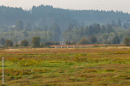 pedestrian bridge stretching along the edge of a large meadow 