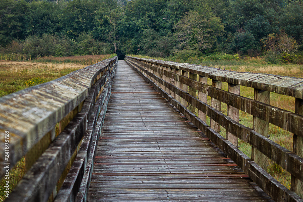 rustic wooden boards of a boardwalk leading to dark opening in t rustic wooden boards of a boardwalk leading to dark opening in t
