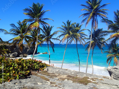 Beach with rocks and palm in Barbados