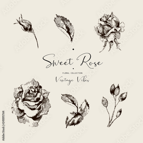 Vector vintage roses black and white floral greeting card, flowers