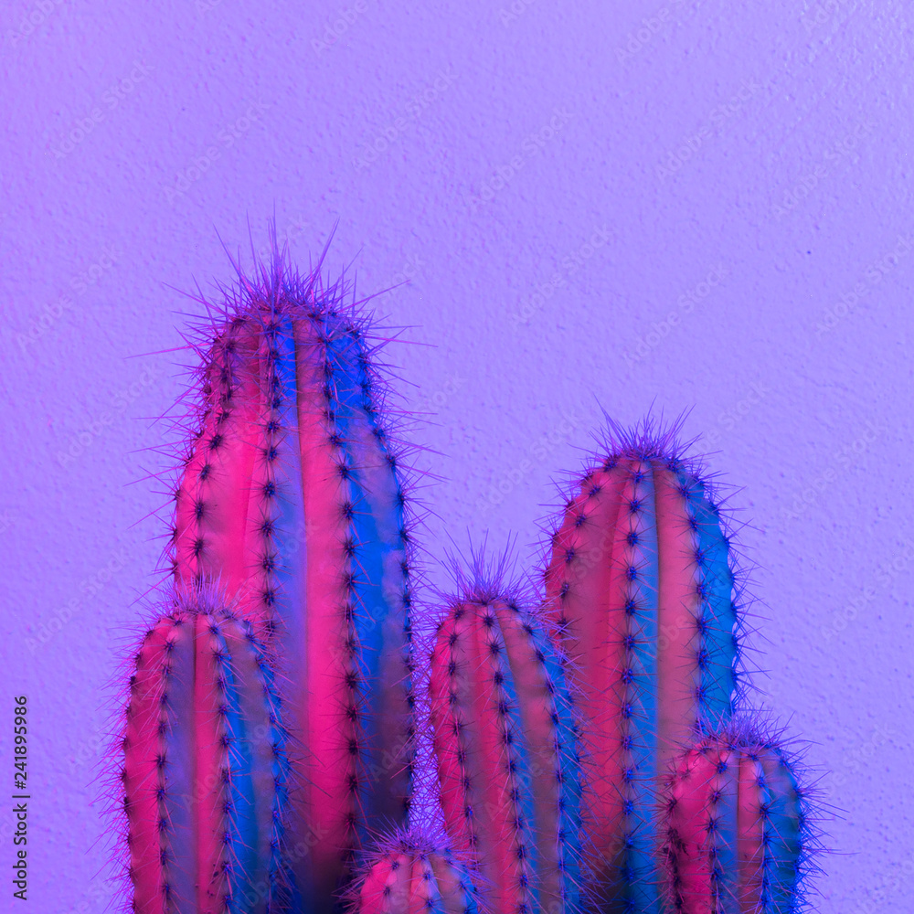 Neon cactus. Cactus lover. Cactus fashion idea Neon cactus. Cactus lover. Cactus fashion idea