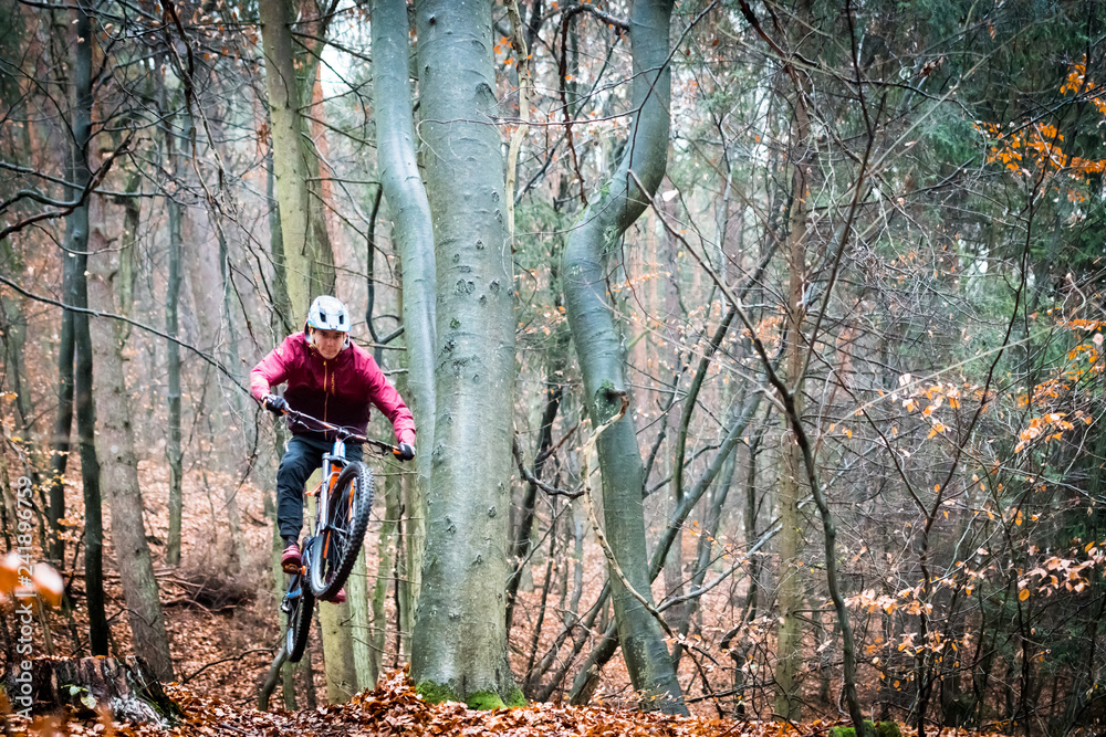 Fototapeta premium Sport extrême vtt de descente dans les bois en automne