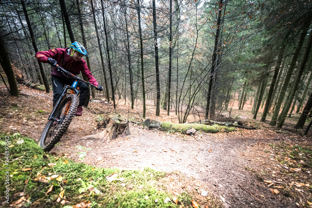 Sport extrême vtt de descente dans les bois en automne Sport extrême vtt de descente dans les bois en automne