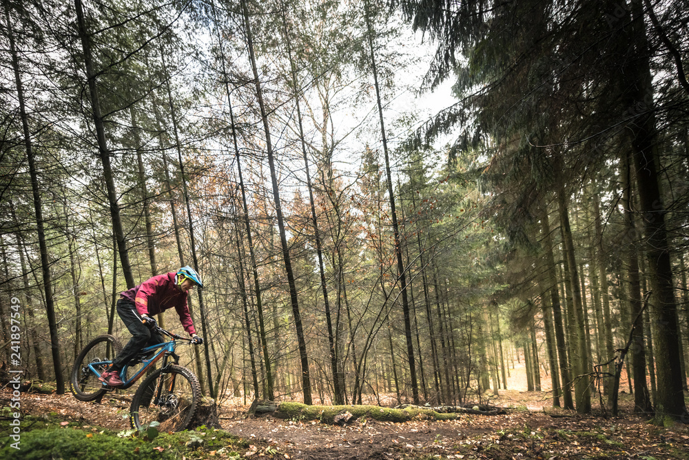 Sport extrême vtt de descente dans les bois en automne