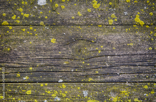 legno effetto