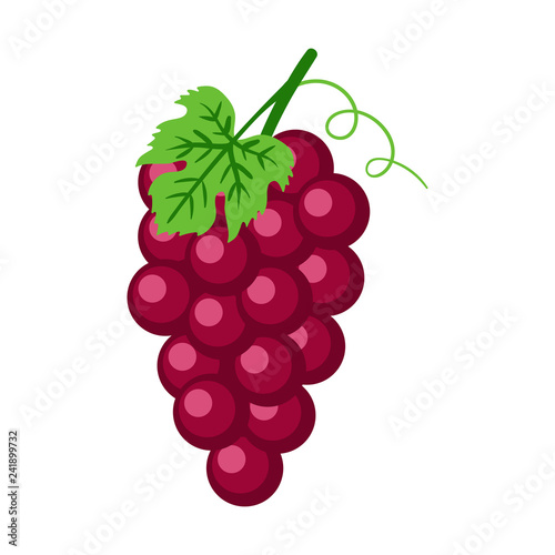 Red Grapes Illustration - Bunch of red grapes with stem and leaf isolated on white background