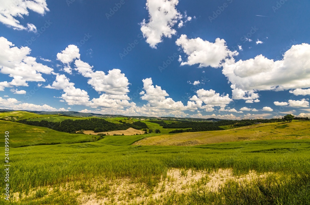 Obraz premium Bellissimo paesaggio naturale delle Crete Senesi in Toscana, Italia