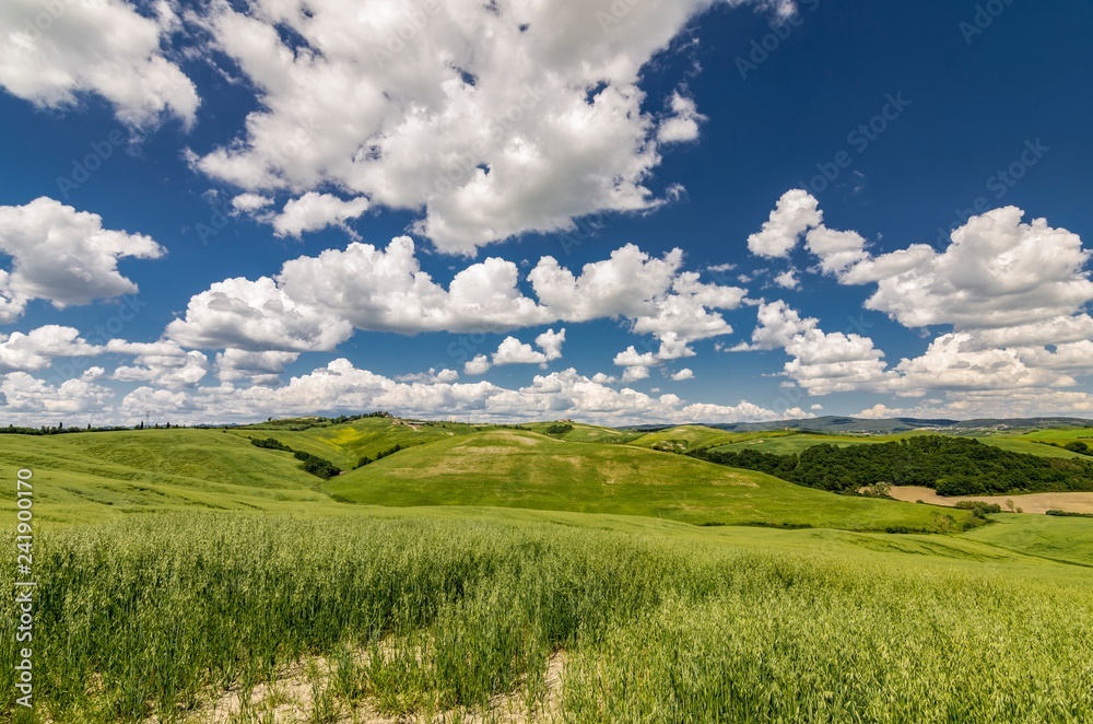 Bellissimo paesaggio naturale delle Crete Senesi in Toscana, Italia Bellissimo paesaggio naturale delle Crete Senesi in Toscana, Italia