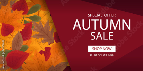 Autumn sale banner template with lettering. Background layout decorate with red, yellow and brown leaves for shop. Modern realistic design. Beautiful wallpaper. Flat style vector illustration.