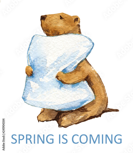Groundhog marmot hugs pillow watercolor