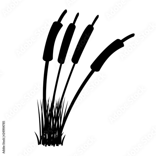 Silhouette-Wild Pussy Willows
