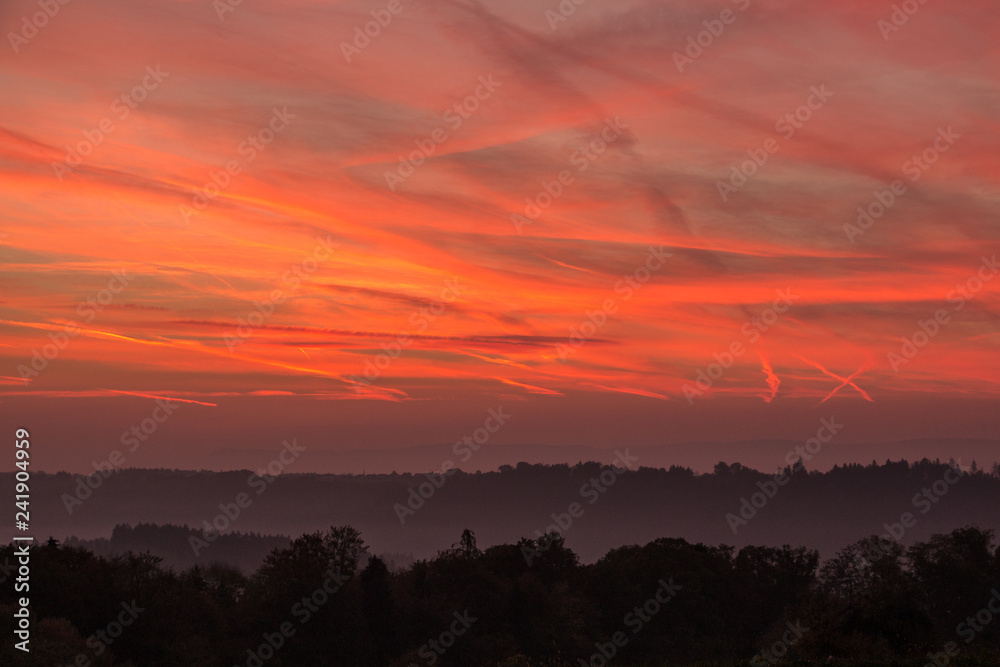 Burning red sky with a black forest with fog and shadows