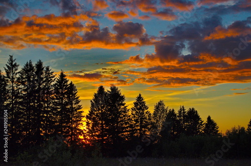 August sunset over the forest with bright clouds © Владимир Филиппов