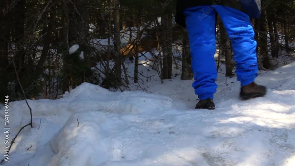 Old woman's legs walking in the snow and having a hard time climbing the snowy path in wintertime - traveling up