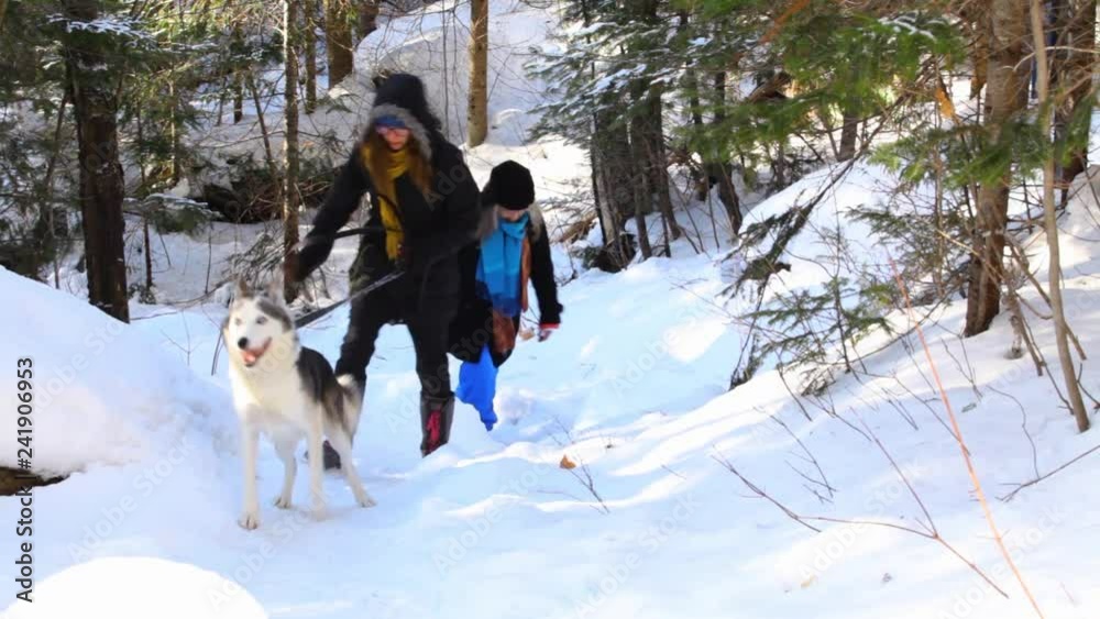 Two women walking in forest with a dog. Old woman and younger girl walking in the forest with alaskan husky dog, having a hard time climbing the snowy path in wintertime - fixed angle