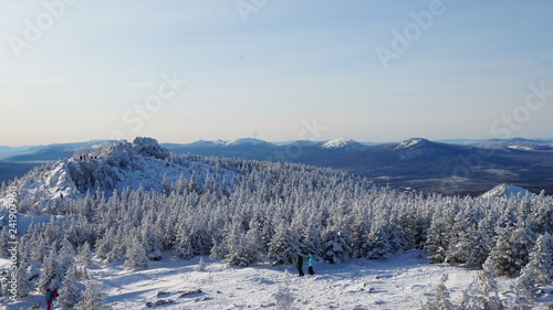 Winter wood 1 © Vladimir Lusnikov