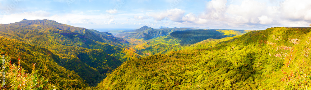 Fototapeta premium Park Narodowy Black River Gorges na Mauritiusie. Zajmuje powierzchnię 67,54 km². Park chroni większość pozostałych lasów deszczowych wyspy.