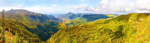 Black River Gorges National Park on Mauritius. It covers an area of 67.54 km². The park protects most of the island's remaining rainforest. © Kletr