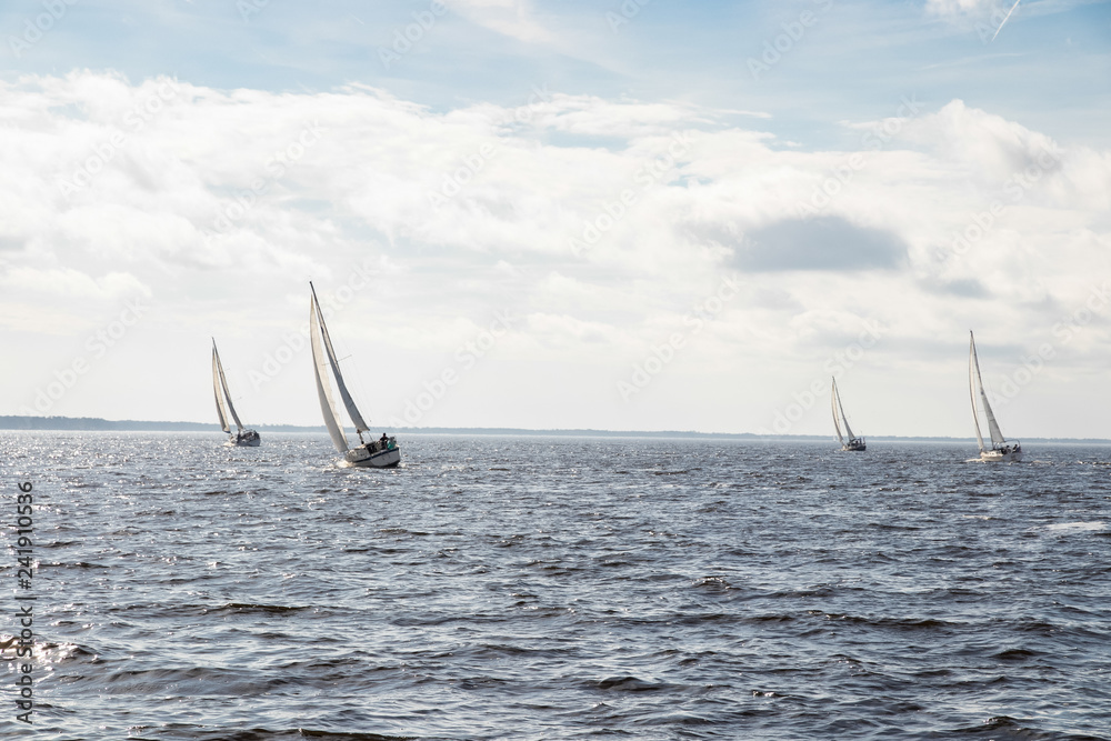 Obraz premium Sailing on the Neuse River