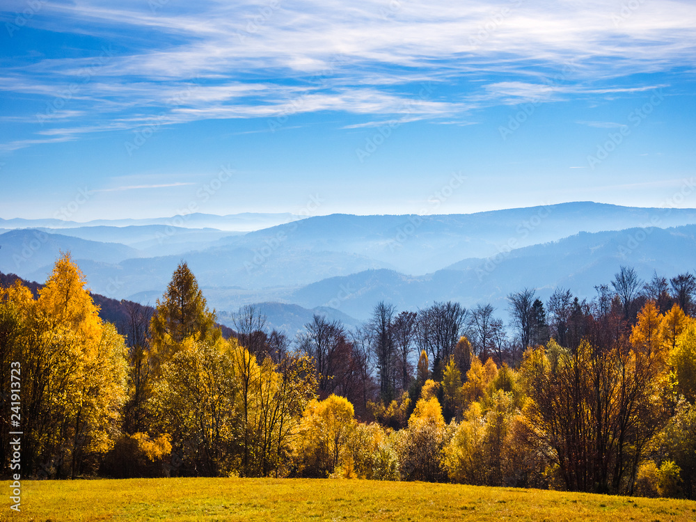 Naklejka premium Autumn in mountains. Beskid Sadecki, Poland.