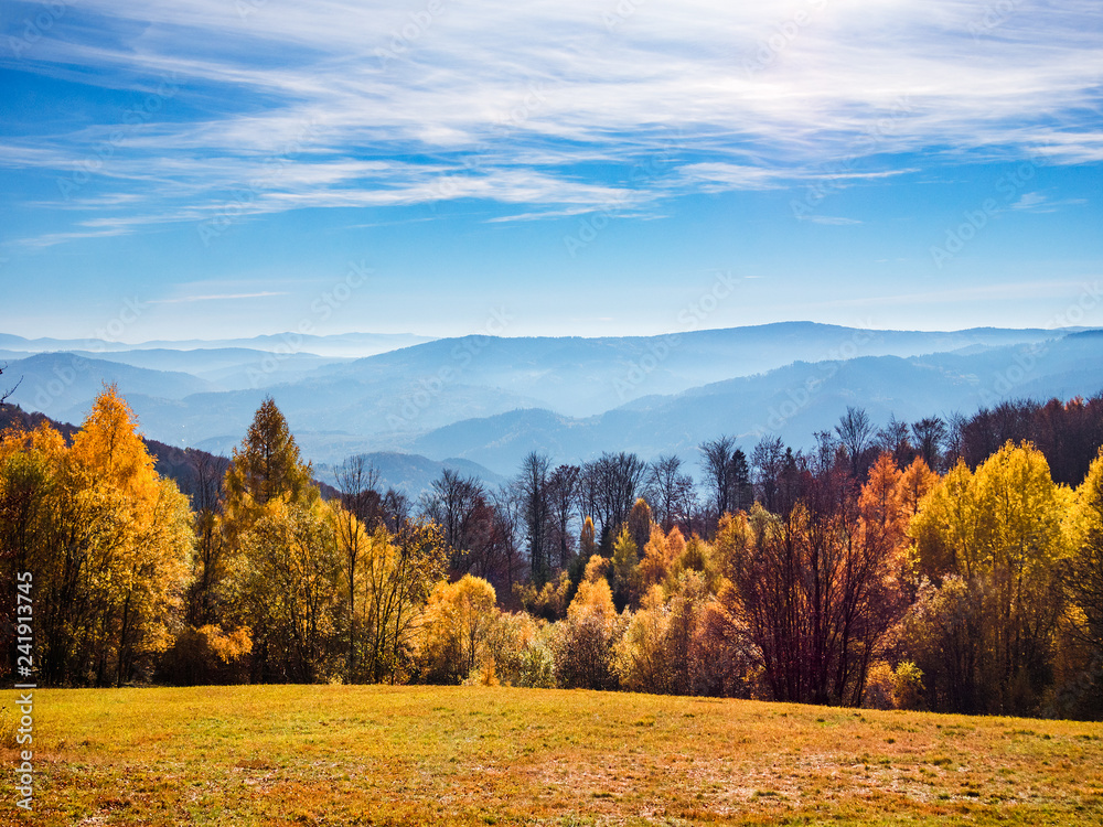 Obraz premium Autumn in mountains. Beskid Sadecki, Poland.