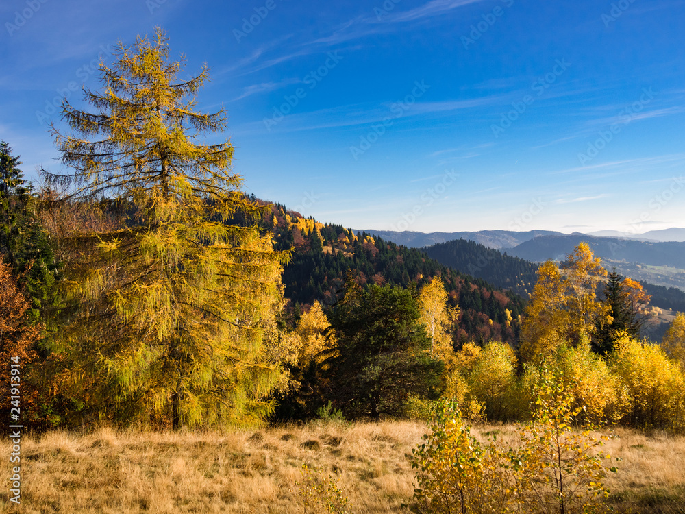 Beskids Mountains in Autumn. Jaworzyna Range nearby Piwniczna-Zdroj, Poland.
