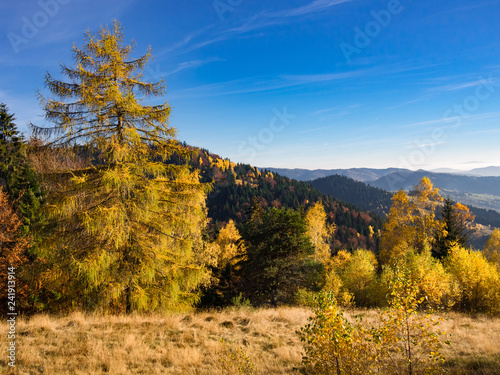 Beskids Mountains in Autumn. Jaworzyna Range nearby Piwniczna-Zdroj  Poland.