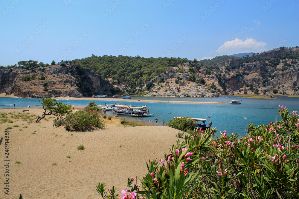 Dalyan Canal and Iztuzu (Caretta caretta) Beach, daily sightseeing boats, Dalyan, Mugla, Turkey