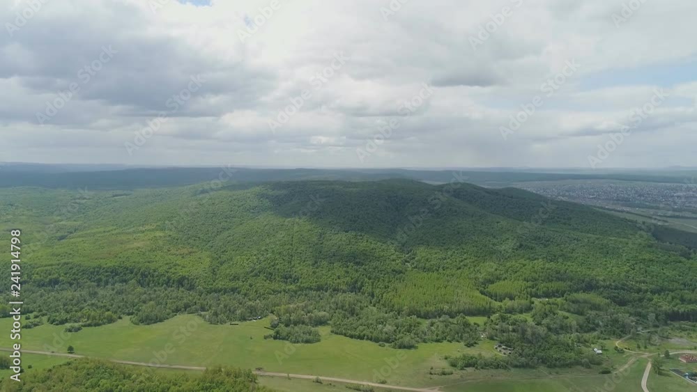 top view of the meadow in the forest with planting trees, aerial photography with drone on the forest