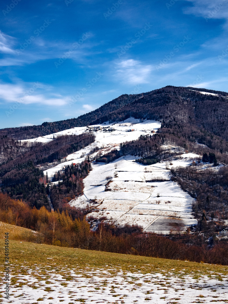 View of Mount Makowica in Winter from Wola Krogulecka. Beskids Mountains, Poland.