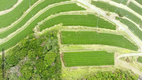 Aerial View over the Tea Leaf Farm, Kagoshima - Japan