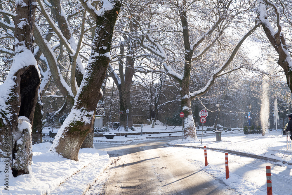 snow ice winter season trees road in Ioannina city Greece snow ice winter season trees road in Ioannina city Greece
