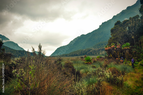 Mountain landscapes at Bujuku Valley, Rwenzori Mountains, Uganda photo