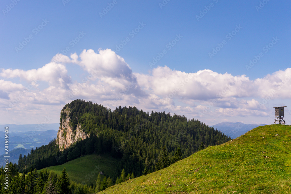 Fototapeta premium Rock face and small high seat surrounded by trees with a fantastic view