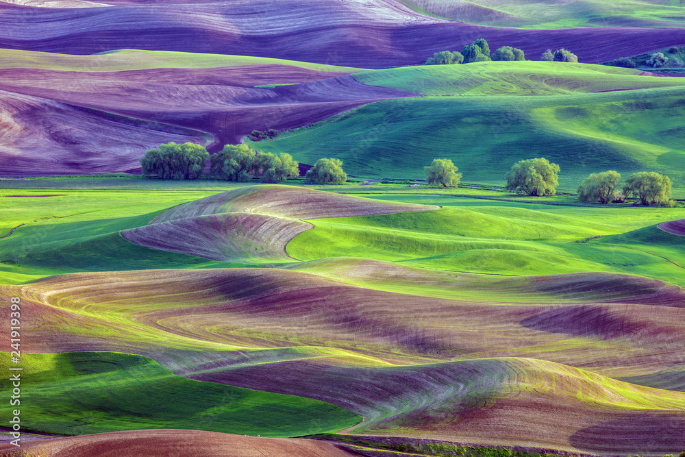 Rolling hills of farmland of Palouse region of Washington State America from Steptoe Butte