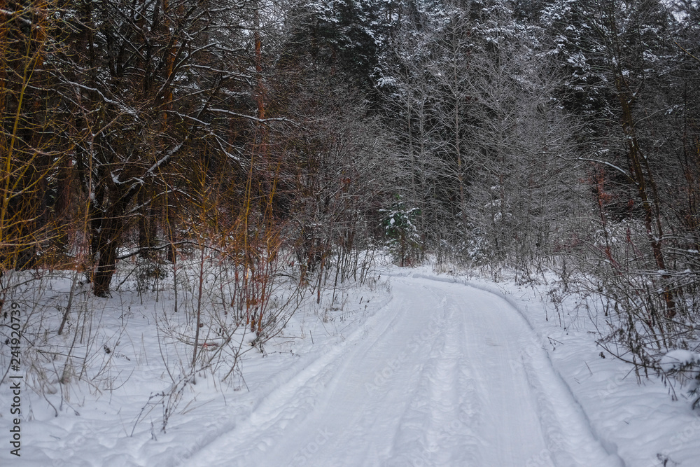 Landscape with the image of a winter road Landscape with the image of a winter road