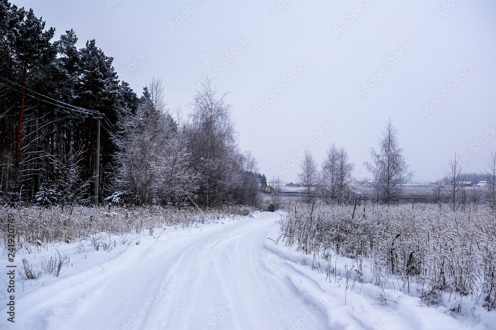 Naklejka premium Landscape with the image of a winter road