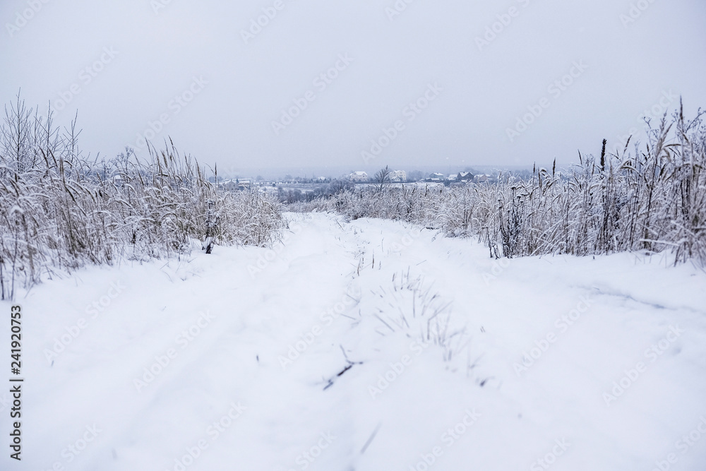 Landscape with the image of a winter road Landscape with the image of a winter road