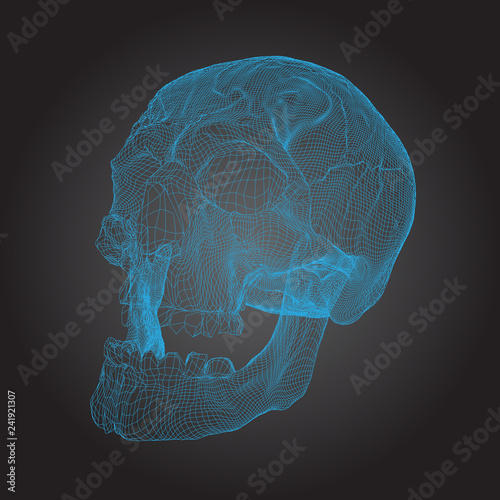 Wireframe Skull Human, Scary, Locally Deformed Lines on the Dark background, geometric polygons line art. Vector Illustration.