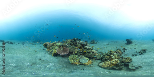 A small reef patch in Indoensia