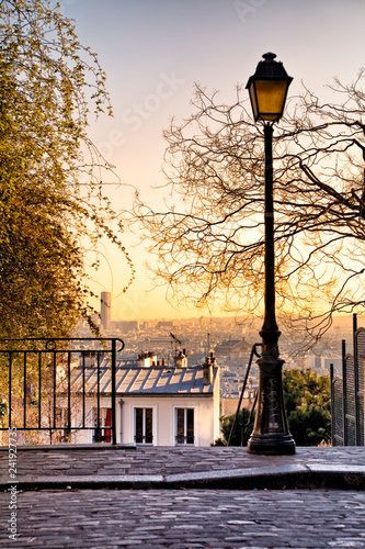 Street lamp and Paris skyline seen from Paris, France © IB Studio