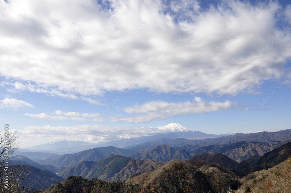 丹沢の大石山からの展望 富士と雲