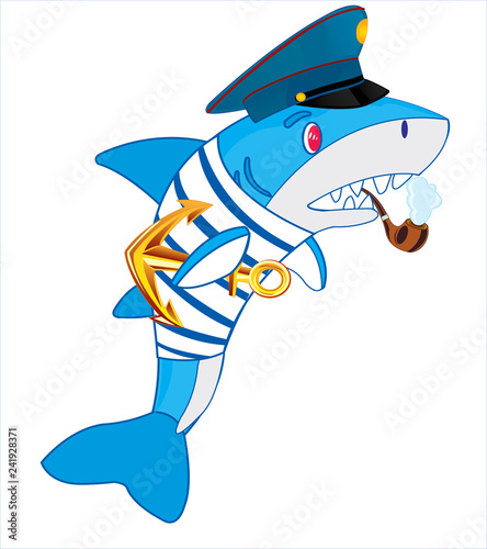 Vector illustration of the shark in sea form