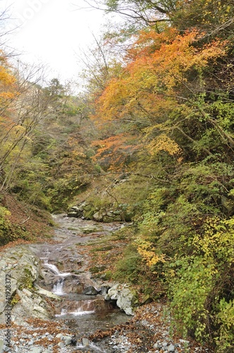秋の渓流 ユーシン渓谷の雨山沢